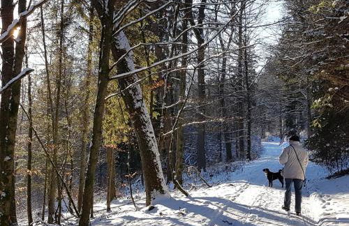 Ferienhaus "Am Gehre" - Foto 45