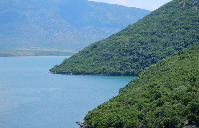 Pellumb Apartments - Photo 41