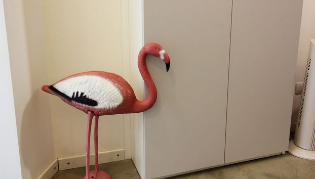 Mi-eust6a0 - Eustachi 6 - Foto 4, Habitación