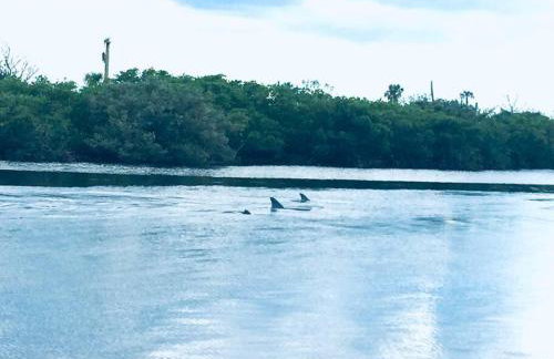 Swimming, Boating, Fishing on Gulf & Heated pool - Foto 60