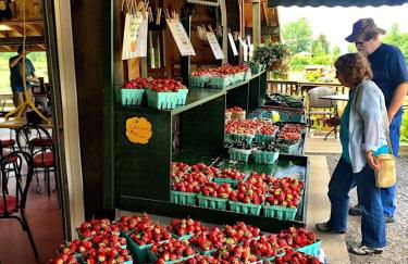 Cozy Cottage Lake Access Fire Pit - Foto 29