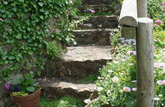 The Cottage Abbotsbury - Foto 7