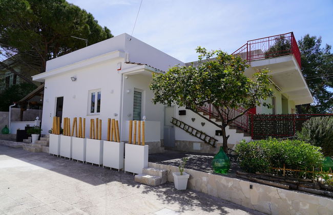 Il Colibrì - Arcuève - Photo 25