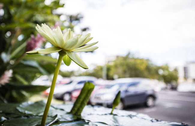 Cascade Gardens - Photo 45