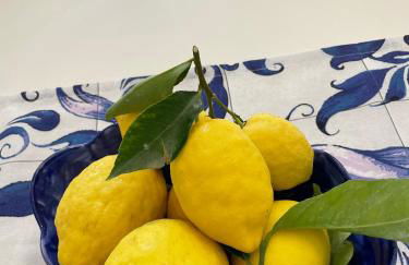 L'albero della vita - Photo 9