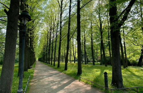 Ferienwohnung am Südwall All INCLUSIVE - Foto 47