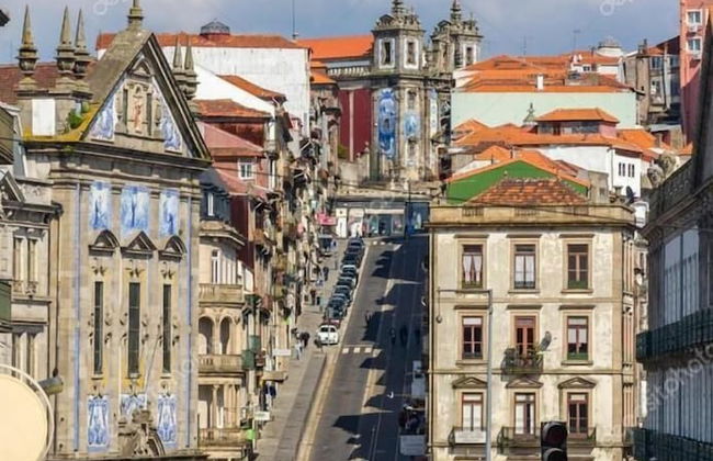 Olive Nature - Foto 37