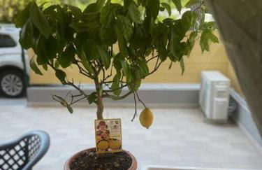 Shelley’s Home - Foto 13