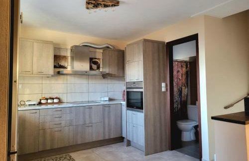 Τα πέτρινα στο Σκεπαστό - Photo 13