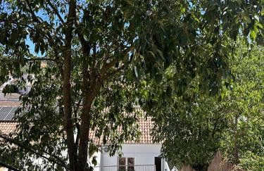 Puerta de los Castañares A - Foto 22