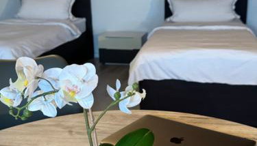 Pavlovic & Götze - Foto 1