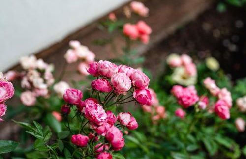 Casa Marina - Foto 21