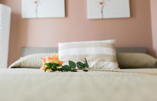 Estudios Sierra de Francia - Photo 30