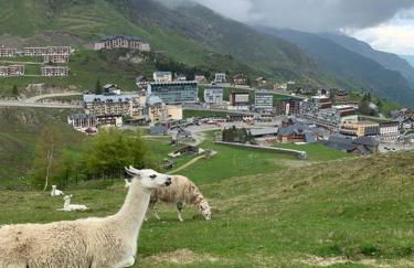 Appt chaleureux 2 - 4 personnes au pied des pistes - draps et linges de toilette non fournis - ménage non inclus - Foto 17