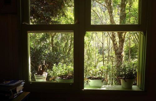 Alugo minha casa na floresta! - Foto 32