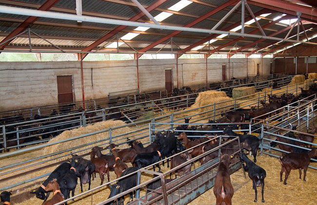 Experiência Gastronômica nas Cavernas de Hoya de la Iglesia - Foto 10