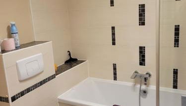 Dumur - centre ville Evian - Foto 3