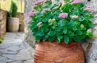 Πέτρινο παραδοσιακό σπίτι "Χιονάτη" - Foto 3