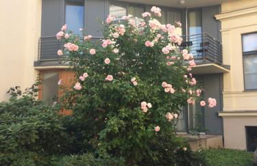 Boarding-Potsdam - Foto 9