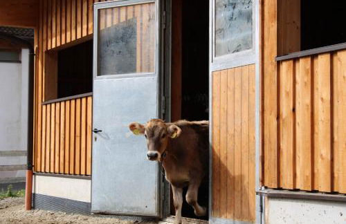 Mühlanderhof Apt Klopairspitze - Foto 29