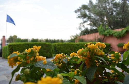 Anesis Village Studios and Apartments - Foto 20