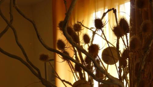 Le Libération - Foto 3