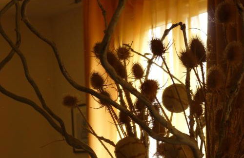 Le Libération - Foto 3