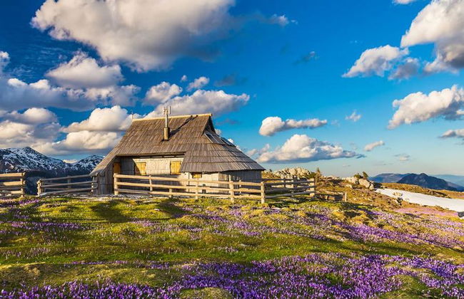 Visite privée d'une journée à Kamnik et Velika Planina au départ de Portorož/Piran - Photo 1