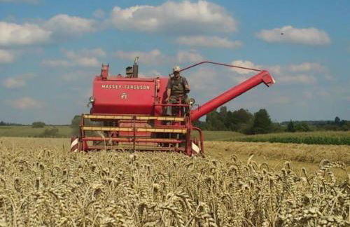 Ferien auf dem Eliesenhof - Foto 35