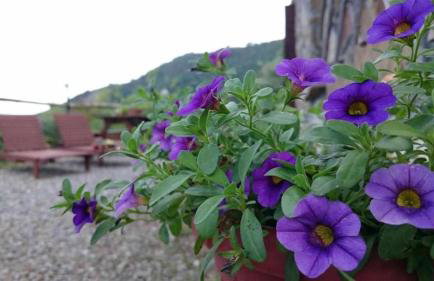 Agriturismo Al Pagan - Foto 108