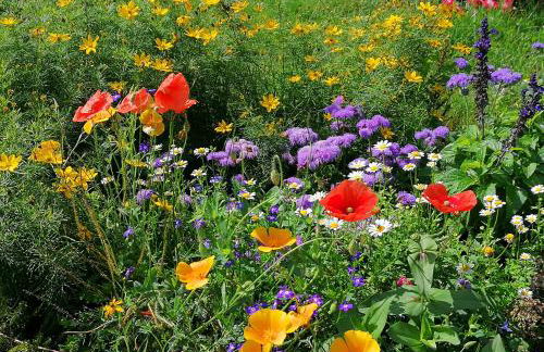 Ferienwohnung Grete - Foto 28