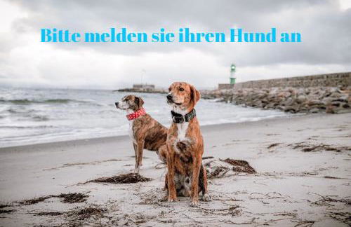 Ferienwohnung Sunset bei Warnemünde - Foto 40