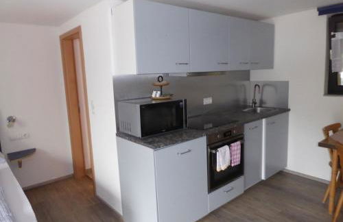 Roth Apartments beim Europa-Park Rust - Foto 17