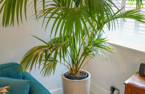 Amazing Guest Cottage in Nottingham with Parking! - Pass the Keys - Foto 31