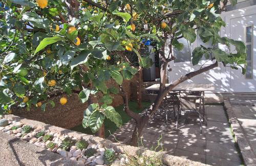 Lemon Garden Apartment - Foto 32