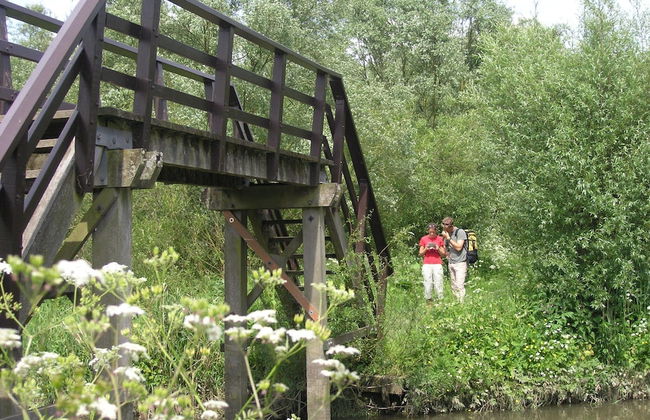 Cozy Vacation Home With Terrace - Photo 32