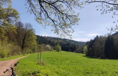 FeWo Sulzbachtal, Nähe Europa-Park, Rulantica, Schwarzwald, Feldberg - Foto 80