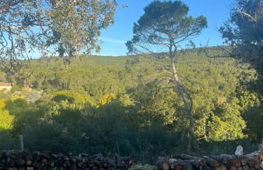 Villa familiale piscine, jacuzzi au coeur du Var - Photo 25