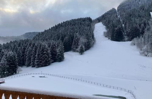 Chalet Carre - Foto 11