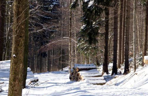 Ferienwohnung Erzhütte - Foto 15