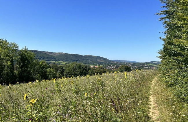 Harzburgliving Goethe's Time out - Foto 17