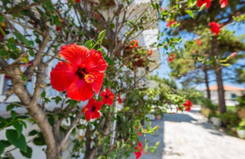 Tassos & Marios Apartments II - Foto 7