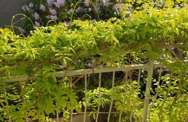 La Glycine Hypercentre et tout confort - Photo 15