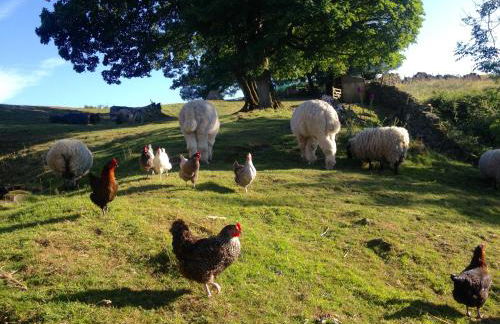 The End Place - Foto 18