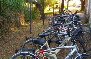 Punta dei Lecci - Foto 42