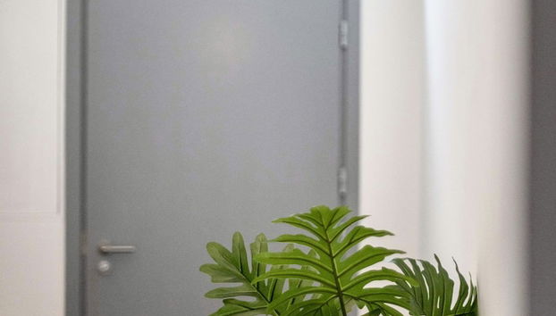 Entrada (vista interior)