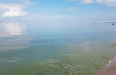 Garten Eden - Foto 18