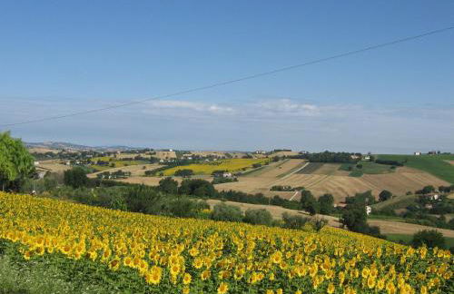 Il Giardino degli Ulivi - Foto 81