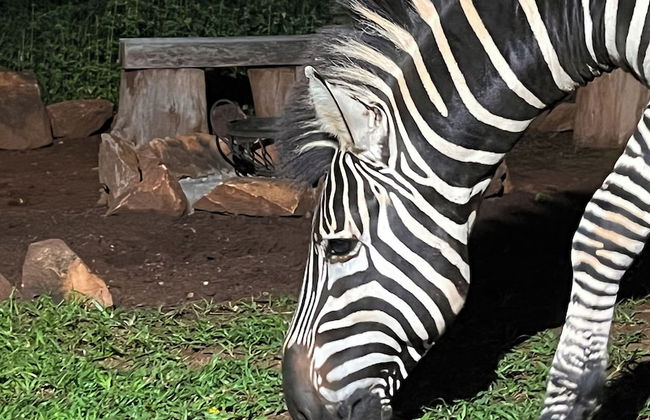 Kruger Kumba - Mugwenzi - Photo 43