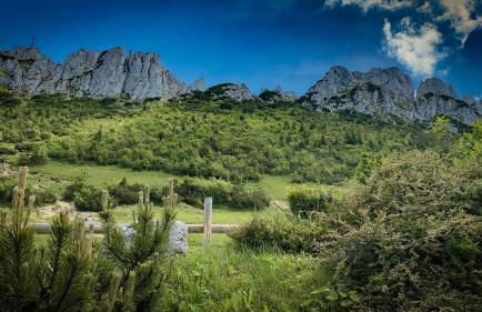 Beim Mühltaler II - Photo 27